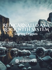 Reincarnated as a Rock With System Book