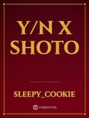 y/n x Shoto Book