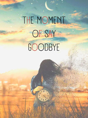 THE MOMENT OF SAY GOODBYE Book