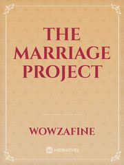 The Marriage Project Book