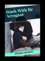 Stuck With Mr Arrogant Book