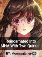 Reincarnated Into MHA With Two Quirks Book