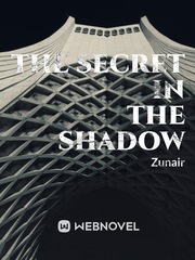 The secret in the shadow Book