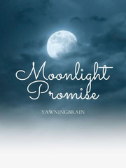 Moonlight Promise Book