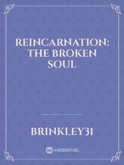 REINCARNATION: The Broken Soul Book