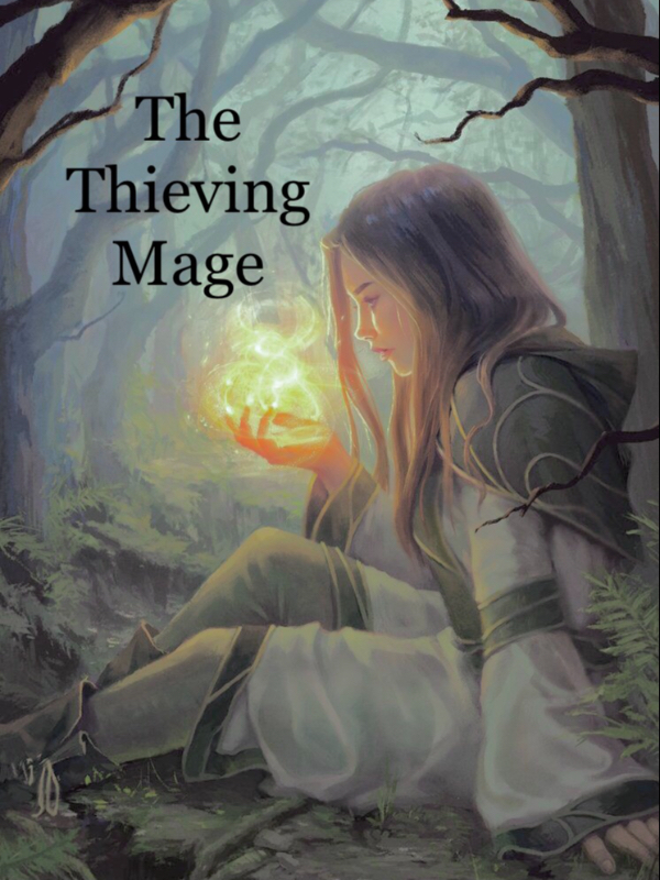 The Thieving Mage Book