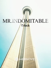 Mr.Indomitable Book