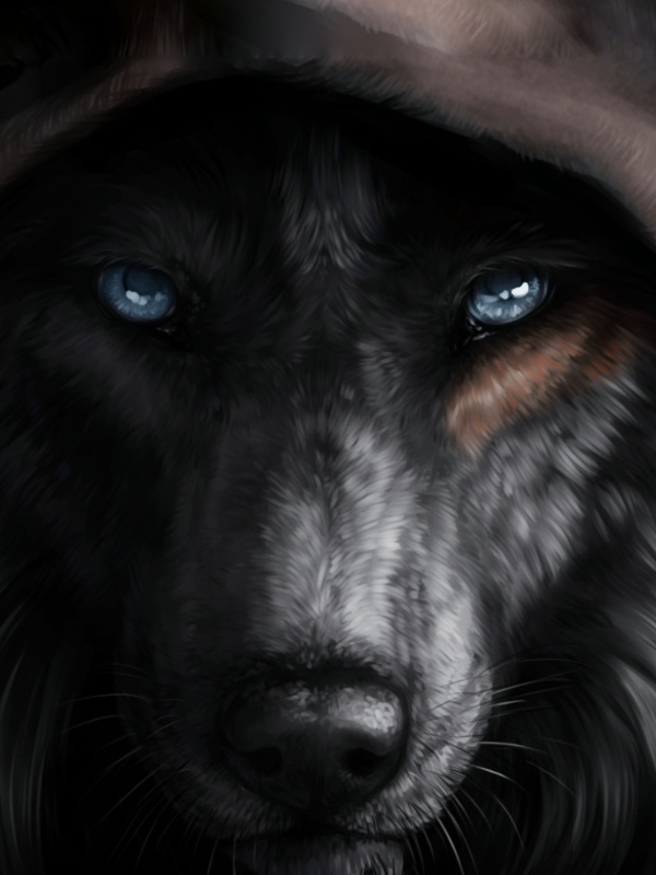 Skyrim: Reborn as a Wolf in Tamriel
