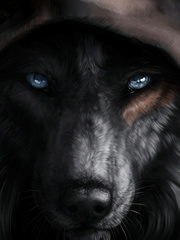 Skyrim: Reborn as a Wolf in Tamriel Book