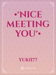 •°Nice Meeting You°• Book