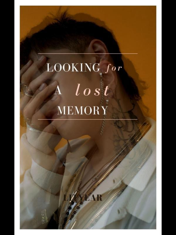 Looking For A Lost Memory