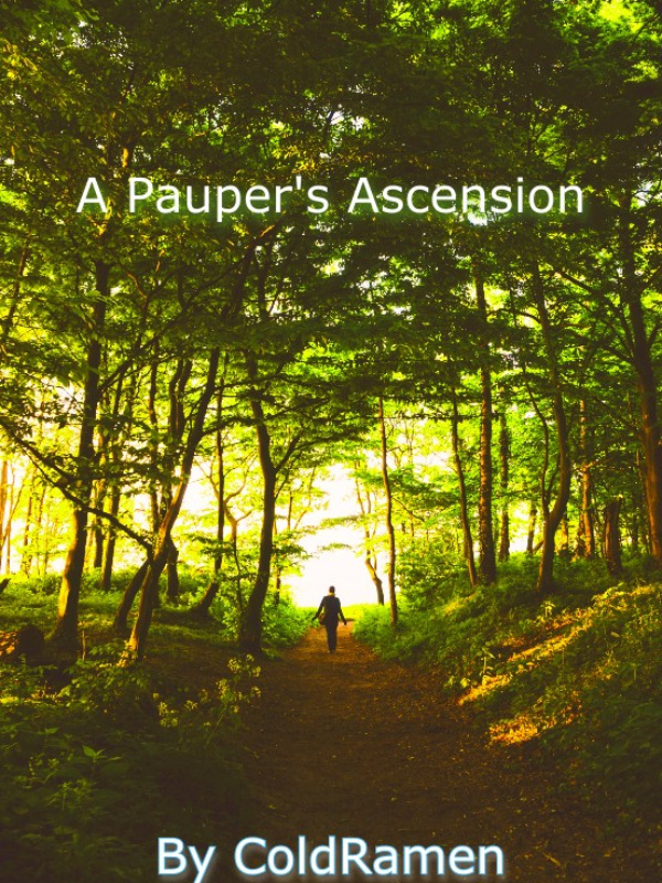 A Pauper's Ascension Book