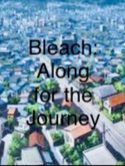 Bleach: Along for the Journey Book