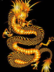 Golden Sacred Dragon REUPLOADED Book