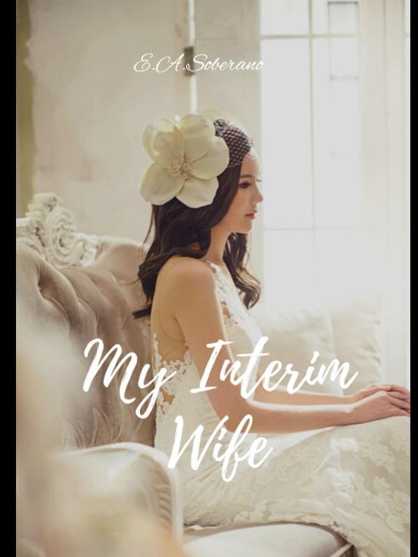 My Interim Wife Book