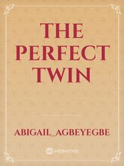 THE PERFECT TWIN Book