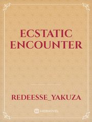Ecstatic Encounter Book
