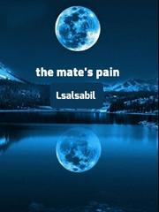 The mate's pain Book