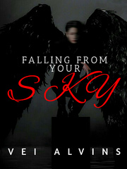 Falling From Your Sky Book