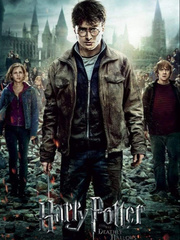 Harry Potter and Marvel Book
