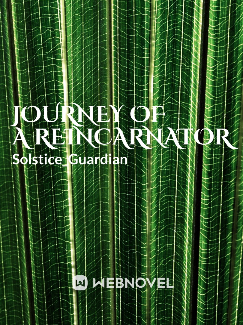 Journey of A Reincarnator Book