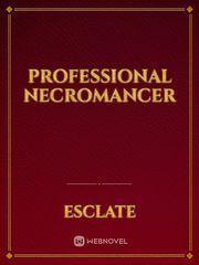 Professional Necromancer Book