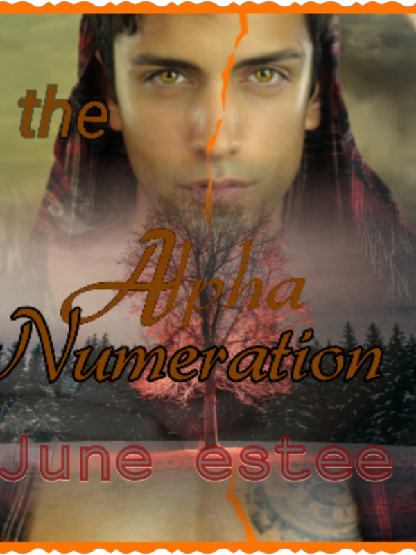 The Alpha Numeration Book
