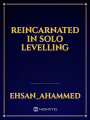 Reincarnated in Solo Levelling Book