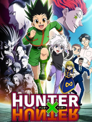 Hunter x Hunter: Adventures of the Reborn Book