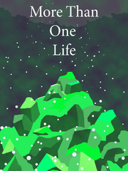 More Than One Life Book
