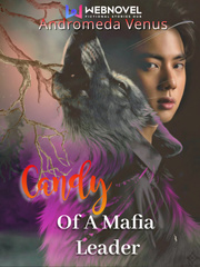 Candy Of A Mafia Leader Book