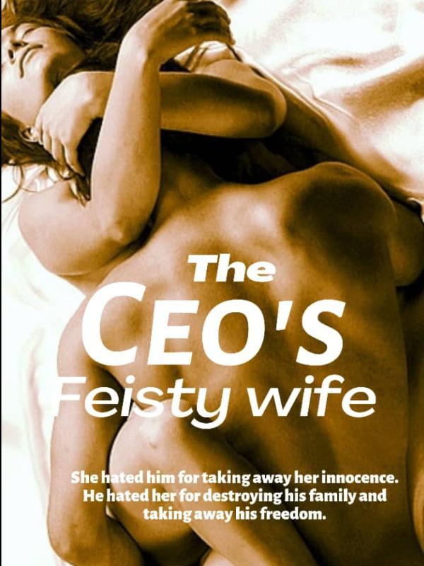 The CEO's Feisty Wife Book