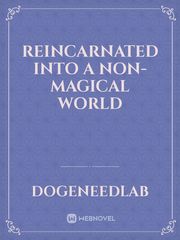 Reincarnated Into A Non-magical World Book