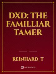 DxD: The Familliar Tamer Book