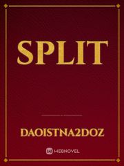 SPLIT Book