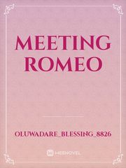 Meeting Romeo Book