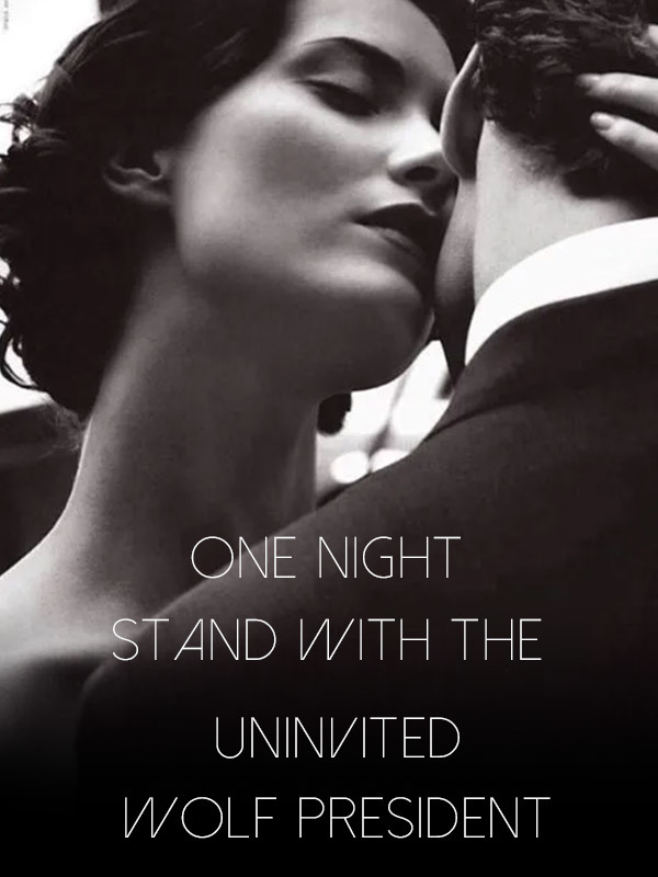 One night stand with the uninvited wolf president Book
