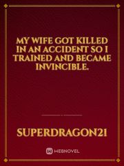 My wife got killed in an accident so I trained and became invincible. Book