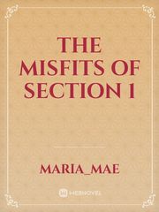 The Misfits Of Section 1 Book