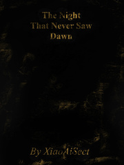 The Night That Never Saw Dawn Book