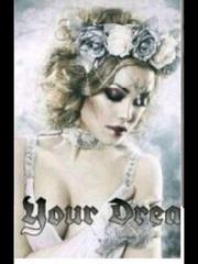 In Your Dreams Book
