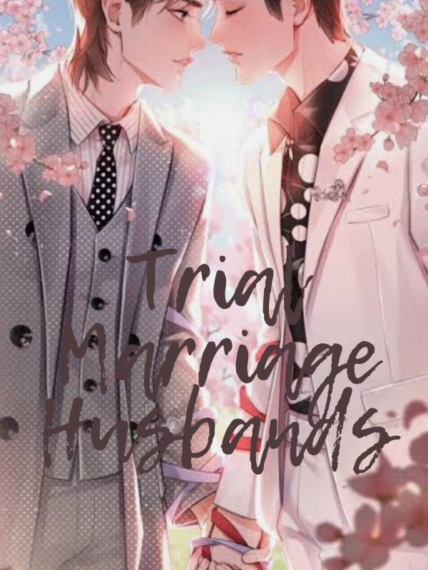 Trial Marriage Husbands Book