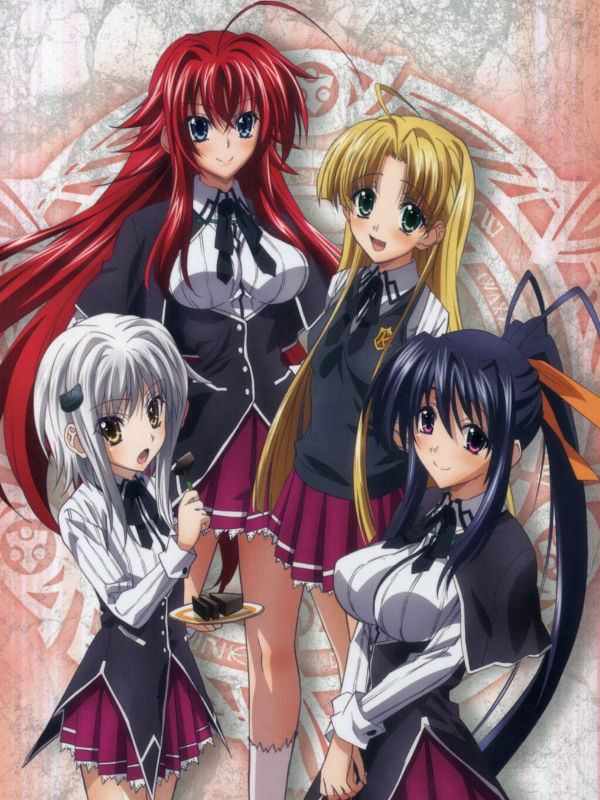 DXD : Rise of Phoenix Book