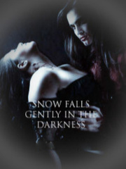 Snow falls gently in the darkness Book