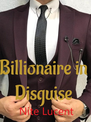 Billionaire in Disguise Book