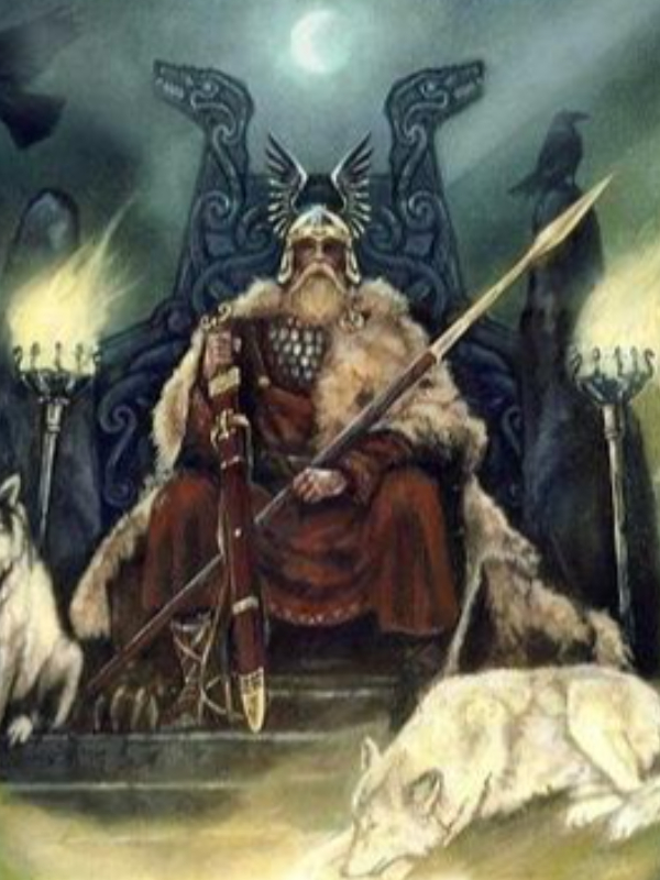 Odin in the Multiverse Book
