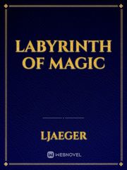 Labyrinth of magic Book