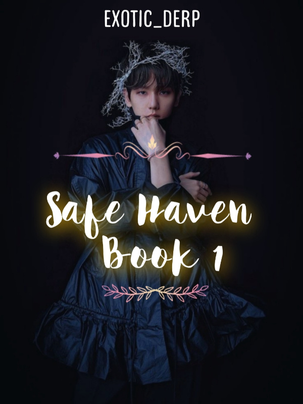 SAFE HAVEN [BOOK 1] Book