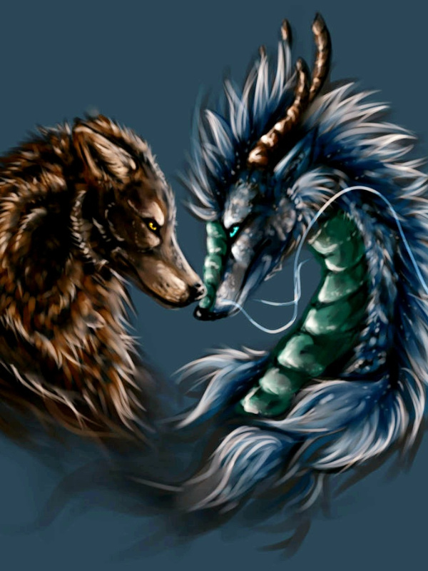 wolf and dragon