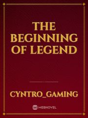 The Beginning of legend Book